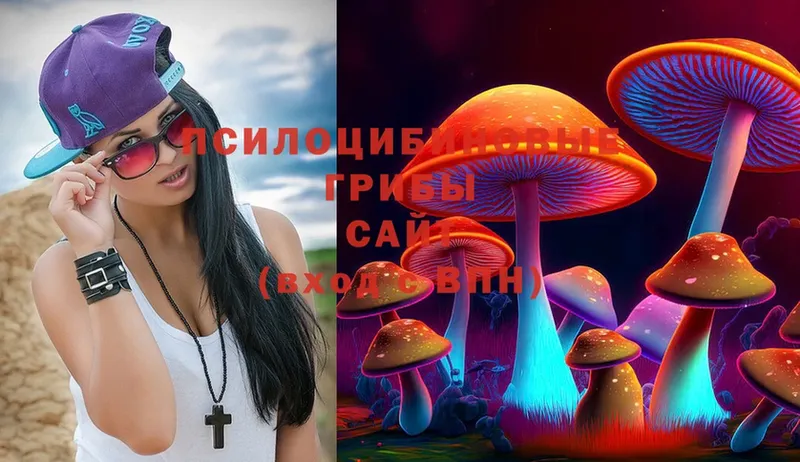 кракен онион  Элиста  Галлюциногенные грибы Psilocybine cubensis 